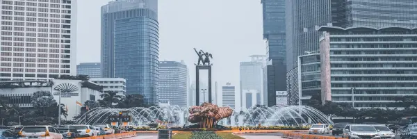 Endonezya