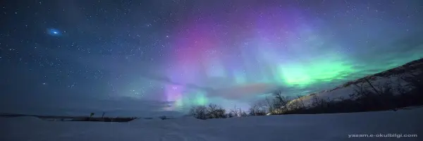 Norveç